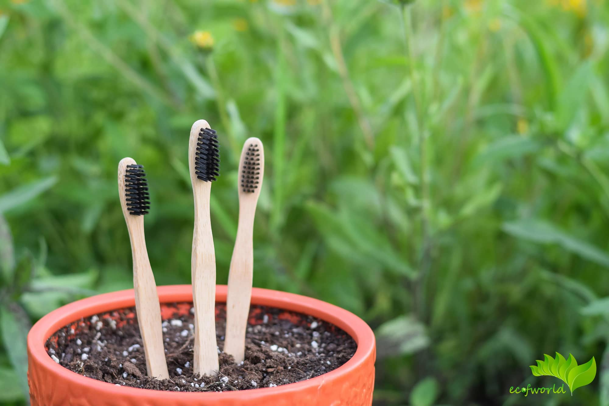 ecofworld bamboo toothbrush compostable recycle soil return