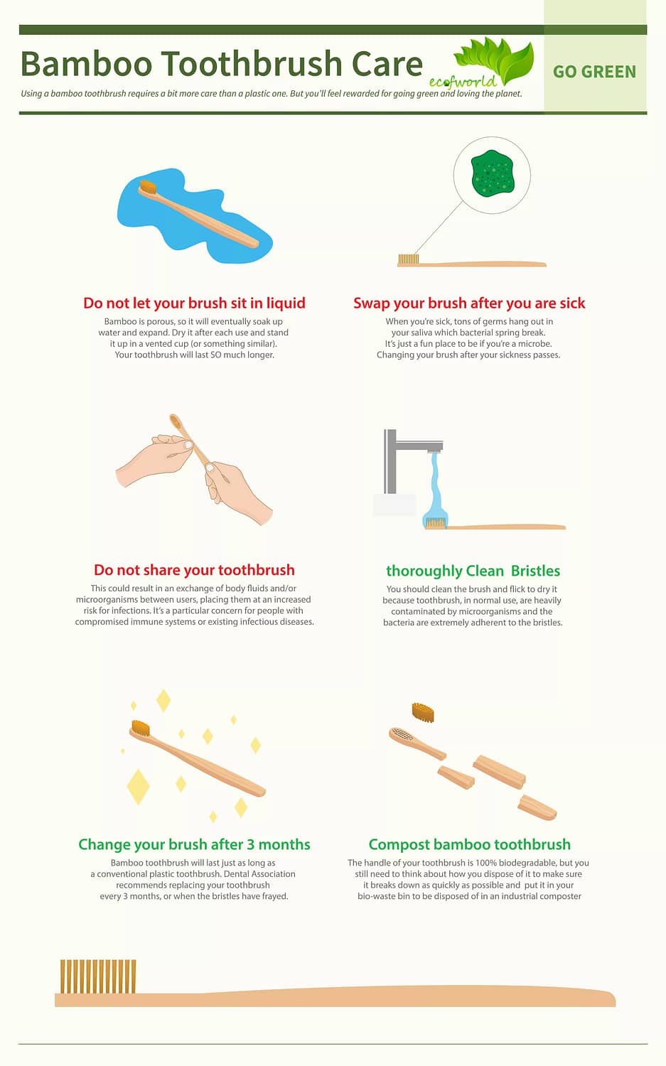 ecofworld how to care your tooth brush with hygiene