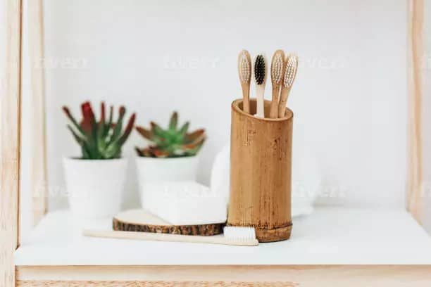 Pros and Cons of Different Toothbrushes, a Bamboo toothbrush Article