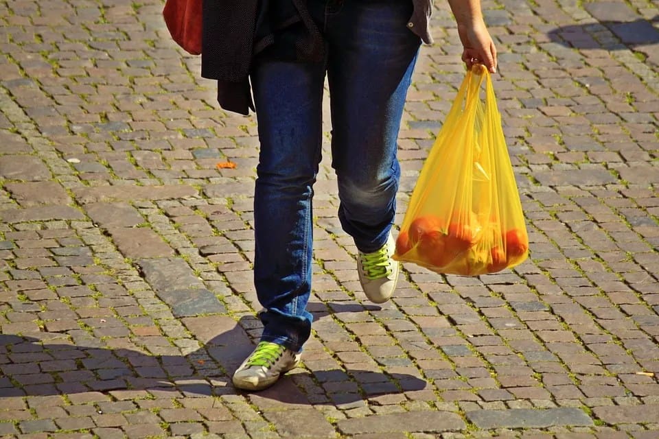 How to ban Plastic bags
