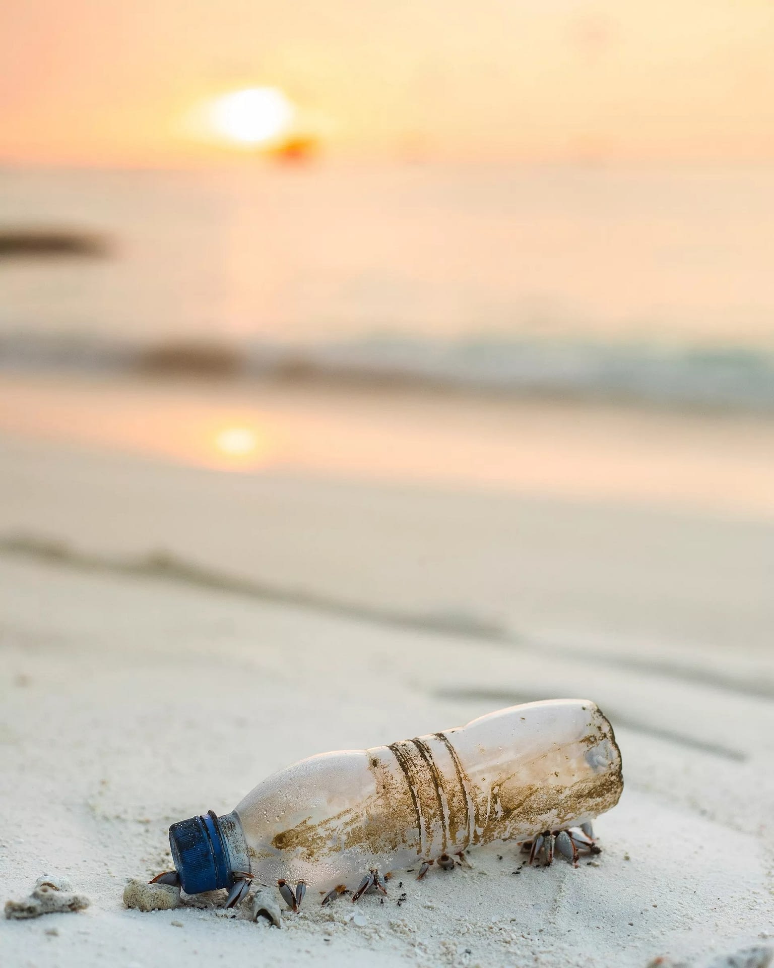 Where do we see plastics and its alternatives